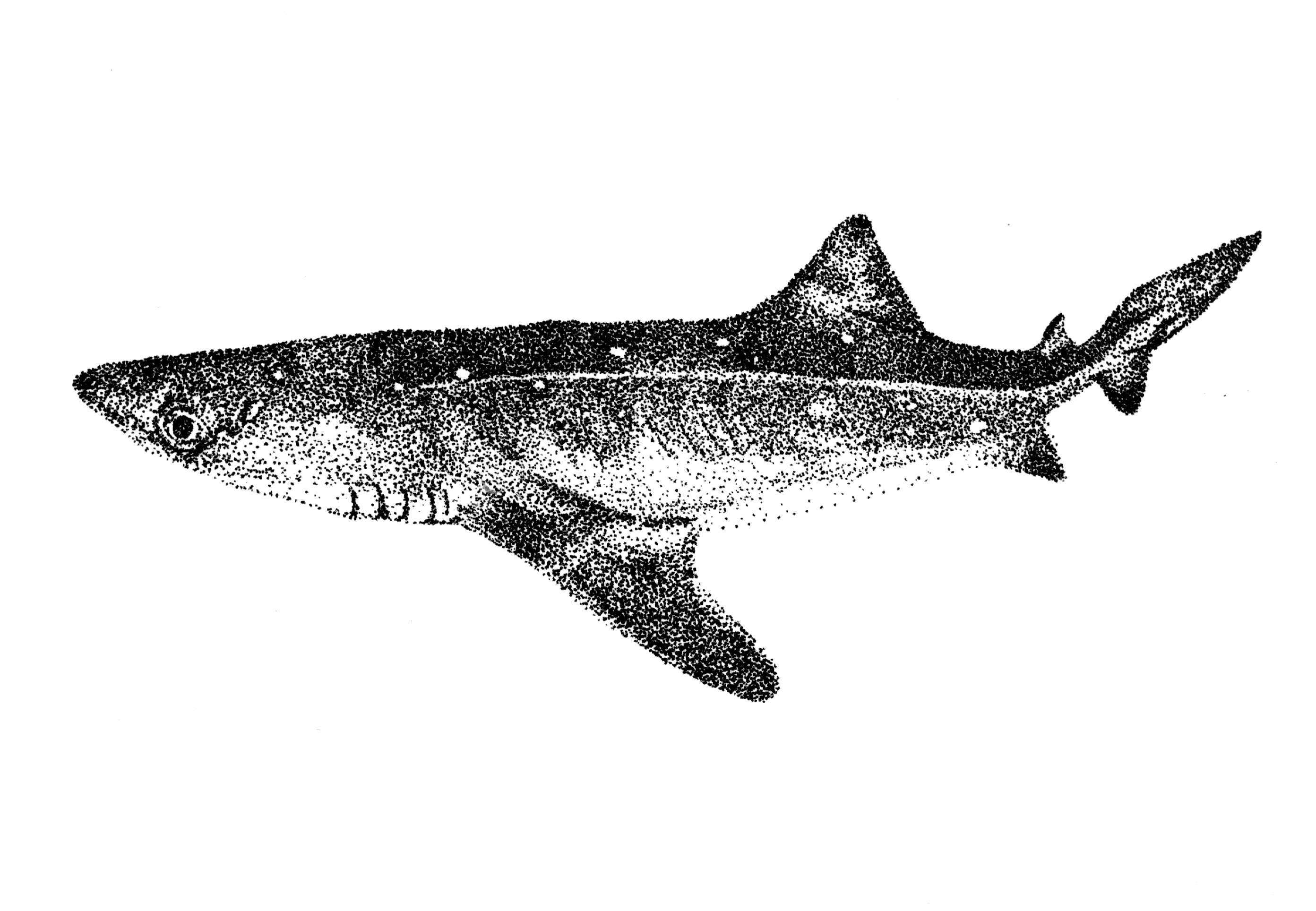 Especies peligrosas